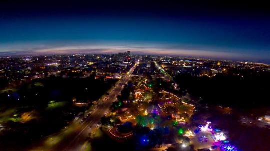 What a spectacular view! The Garden of Unearthly Delights now takes up almost the whole block of Rundle Park, East Terrace.